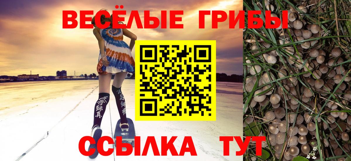 Калач-на-Дону  Галлюциногенные грибы GOLDEN TEACHER  Вход с VPN 