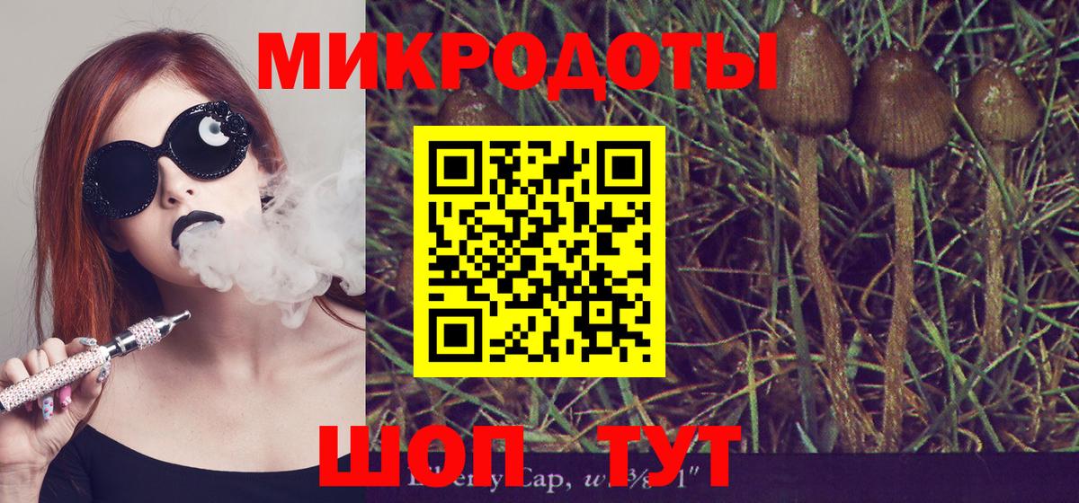 Псилоцибиновые грибы прущие грибы Калач-на-Дону